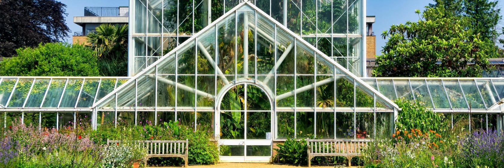 Jardín Botánico de la Universidad de Cambridge